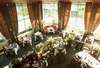 Plantation Club Superior 